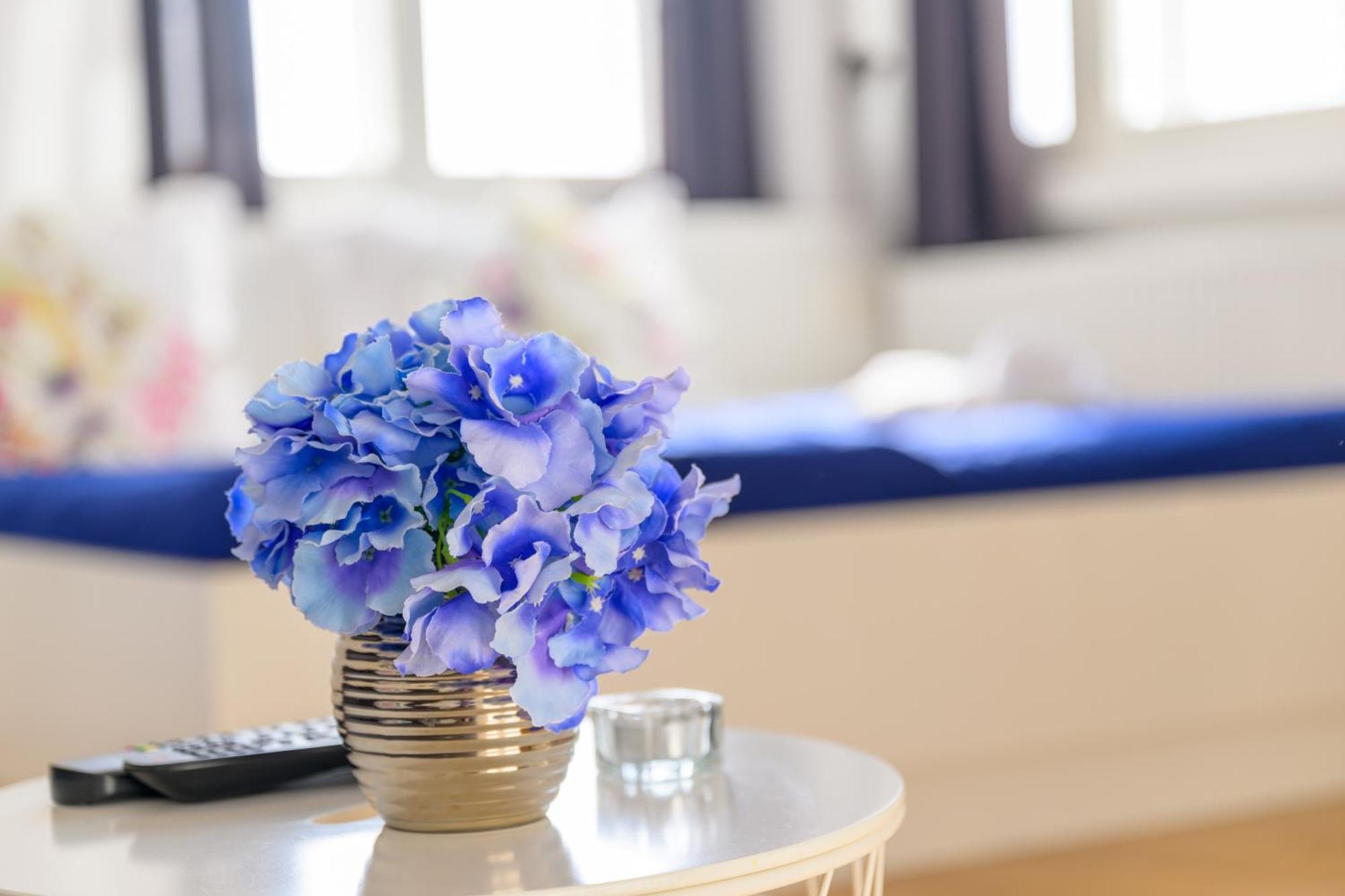 Niva Rooms & Studio Apartment 자그레브 외부 사진